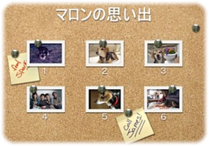 マロンのDVD